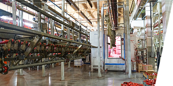 DILIMUI ATSPARI MILTELINĖ DANGA